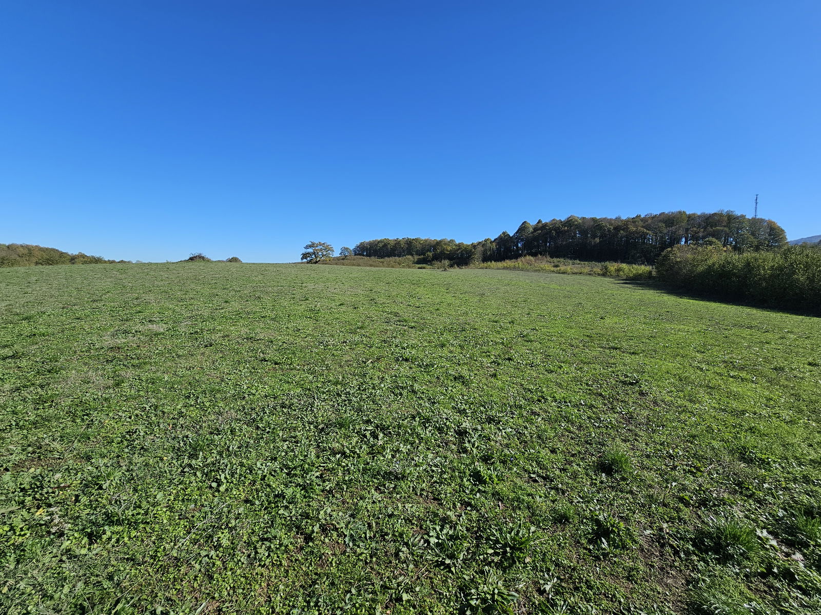 Satılık Arazi 45,000,000 TL