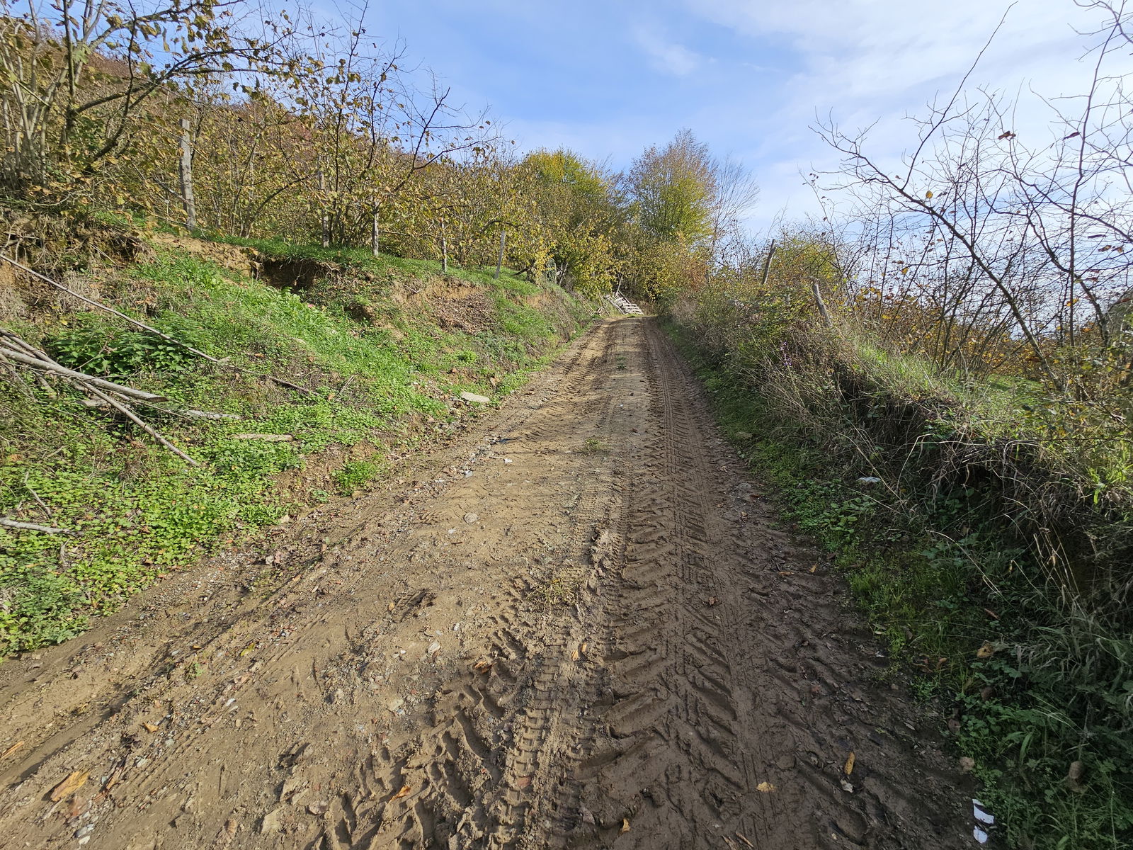 Satılık Arazi 5,300,000 TL