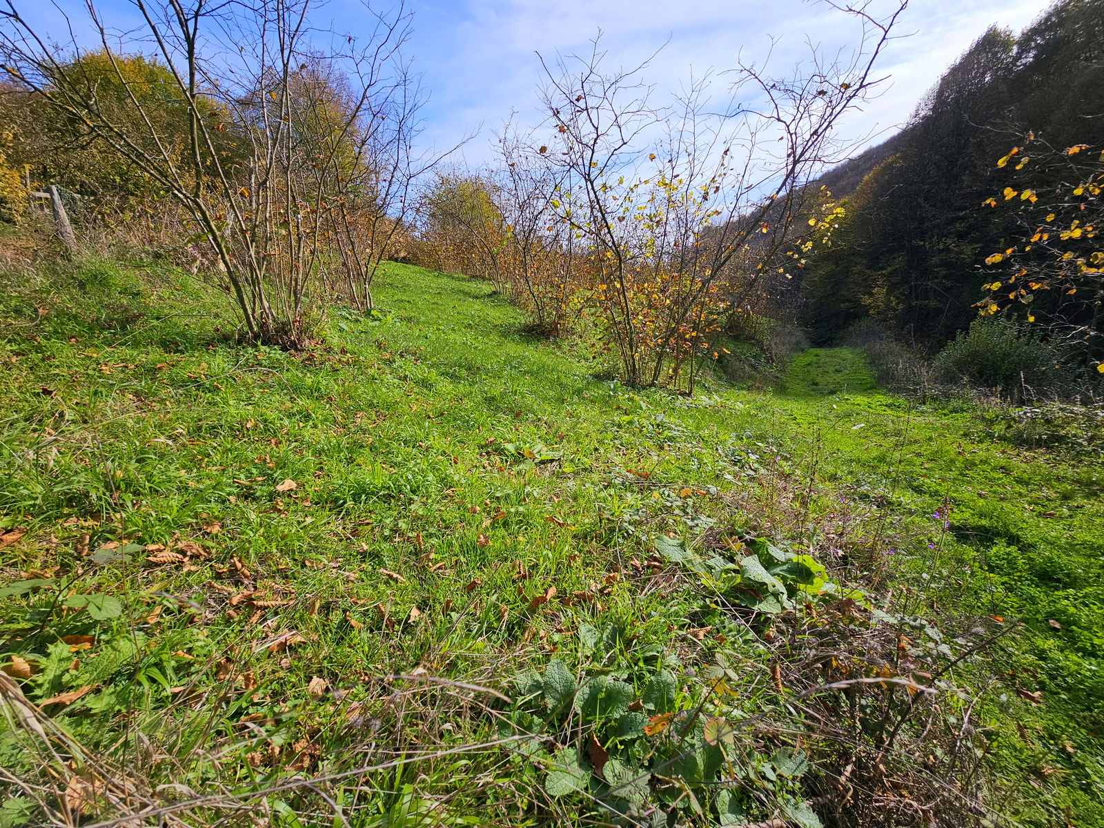 Satılık Arazi 5,300,000 TL