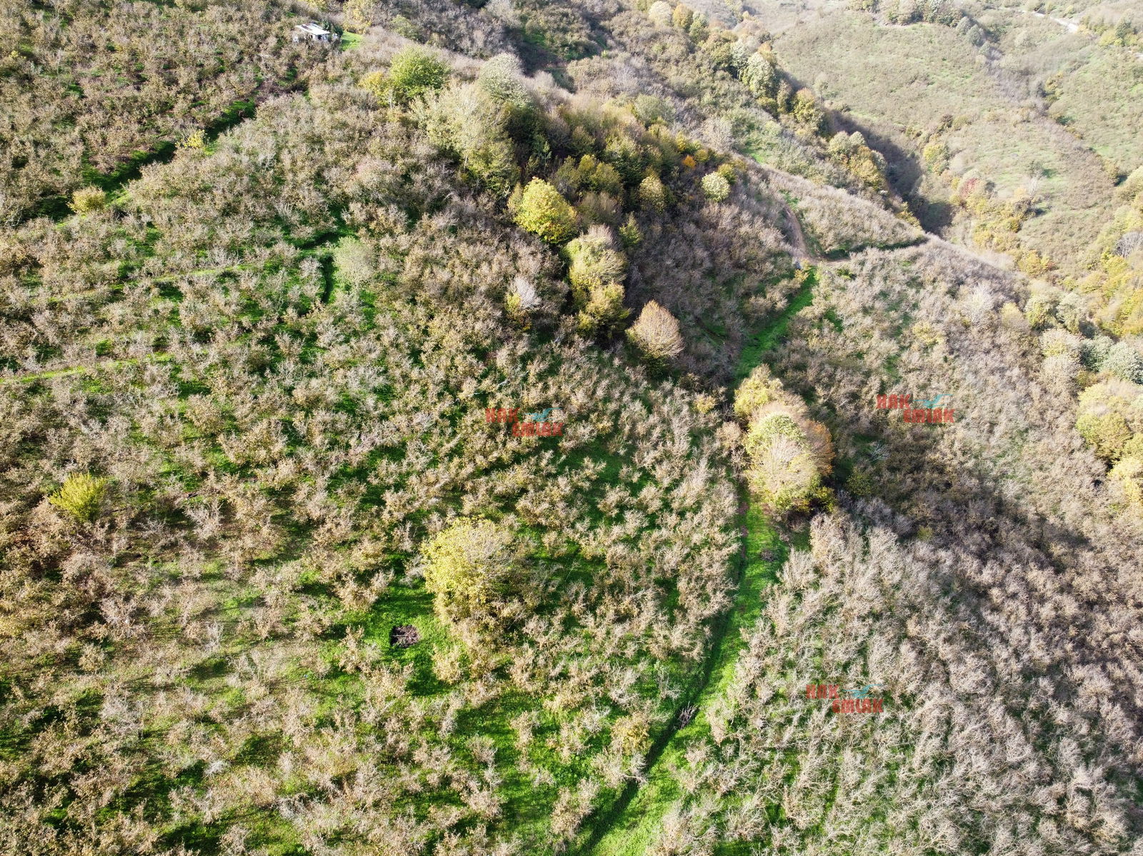 Satılık Arazi 5,300,000 TL