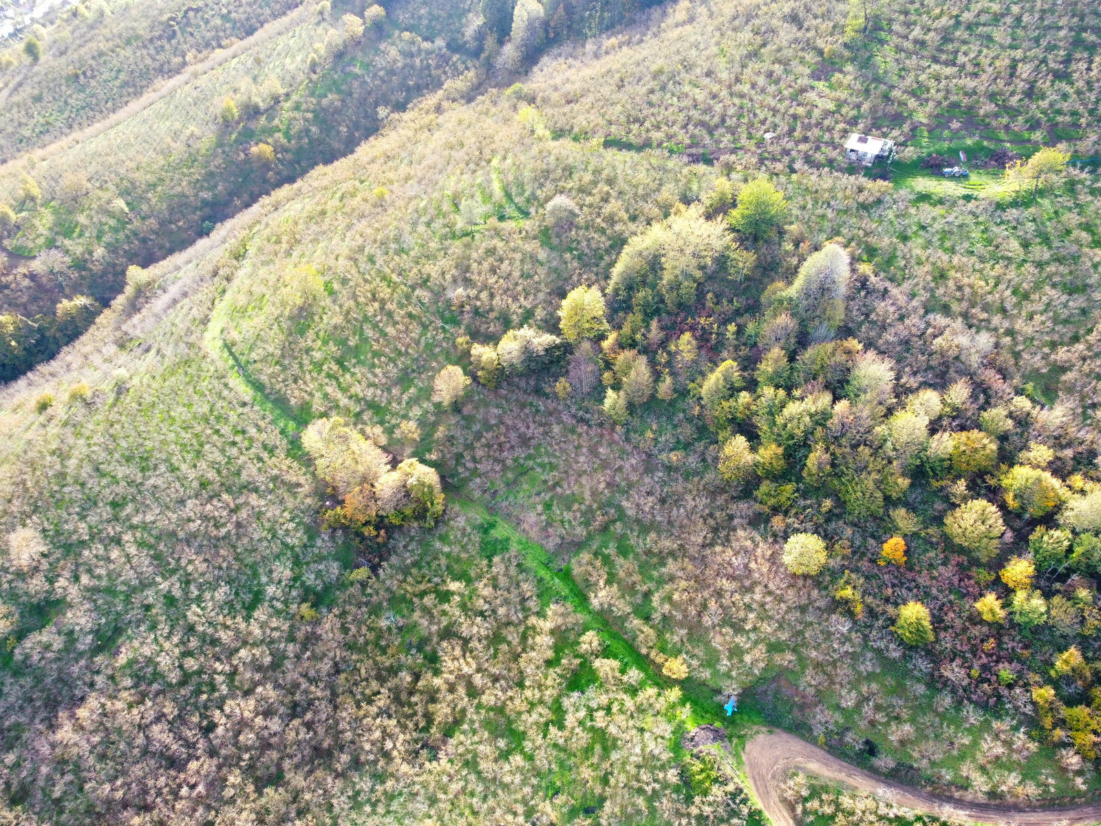 Satılık Arazi 5,300,000 TL