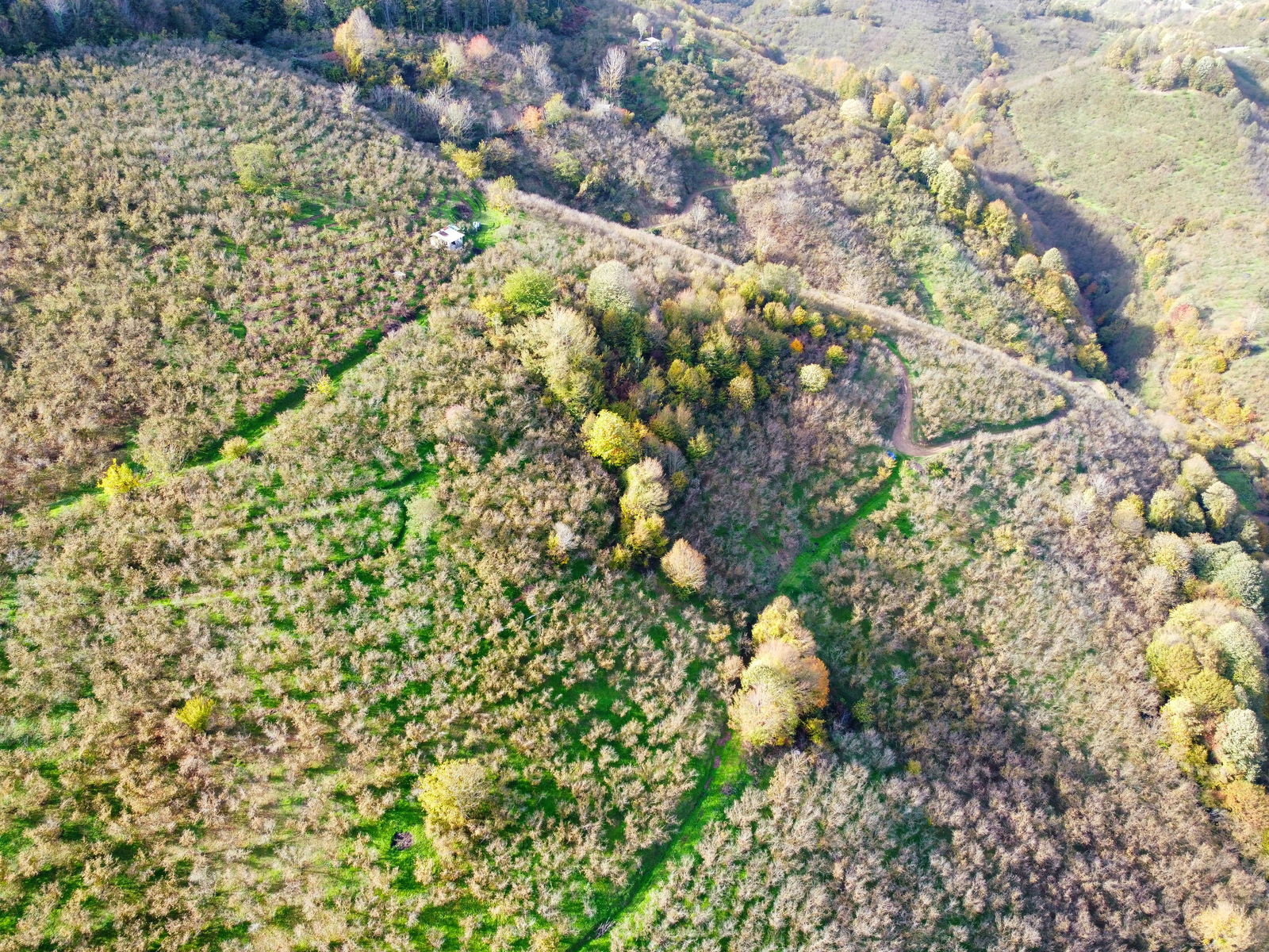 Satılık Arazi 5,300,000 TL