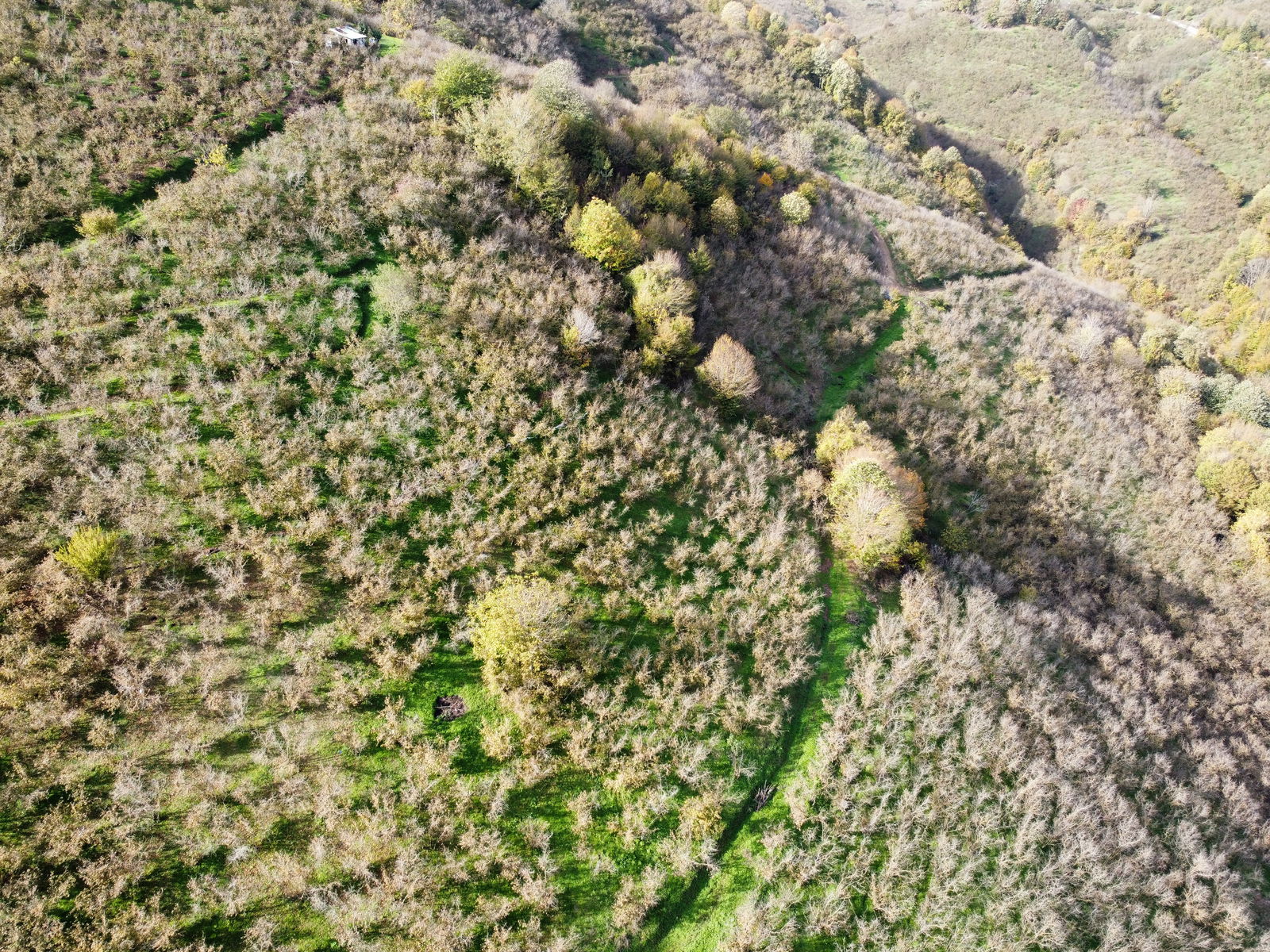 Satılık Arazi 5,300,000 TL