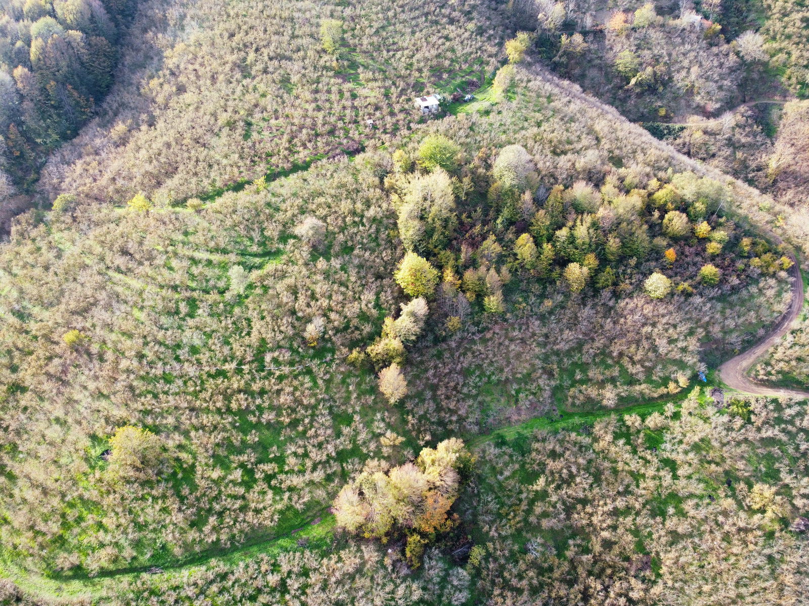 Satılık Arazi 5,300,000 TL