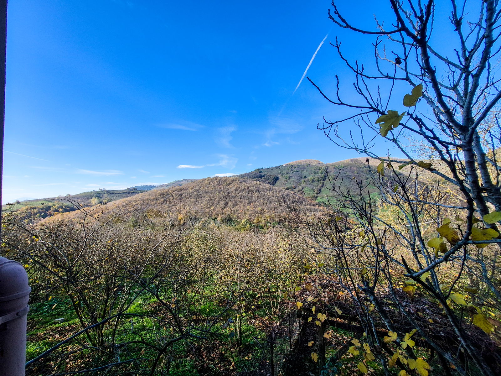 Satılık Müstakil Ev 8,000,000 TL