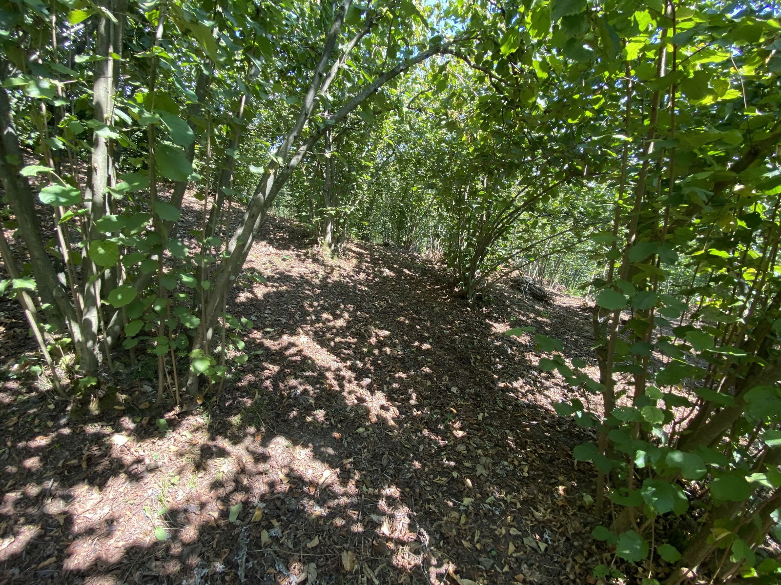 Satılık&nbsp;Fındıklık&nbsp;650,000&nbsp;TL