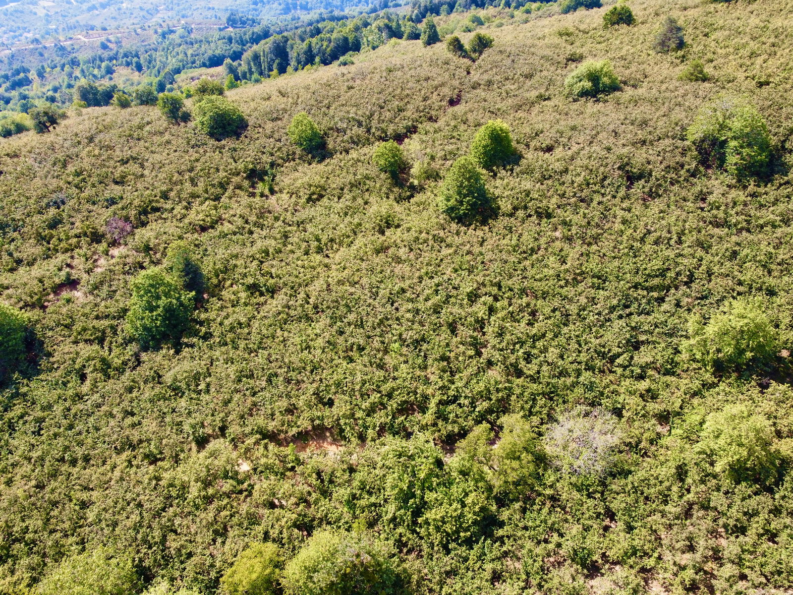 Satılık&nbsp;Fındıklık&nbsp;650,000&nbsp;TL