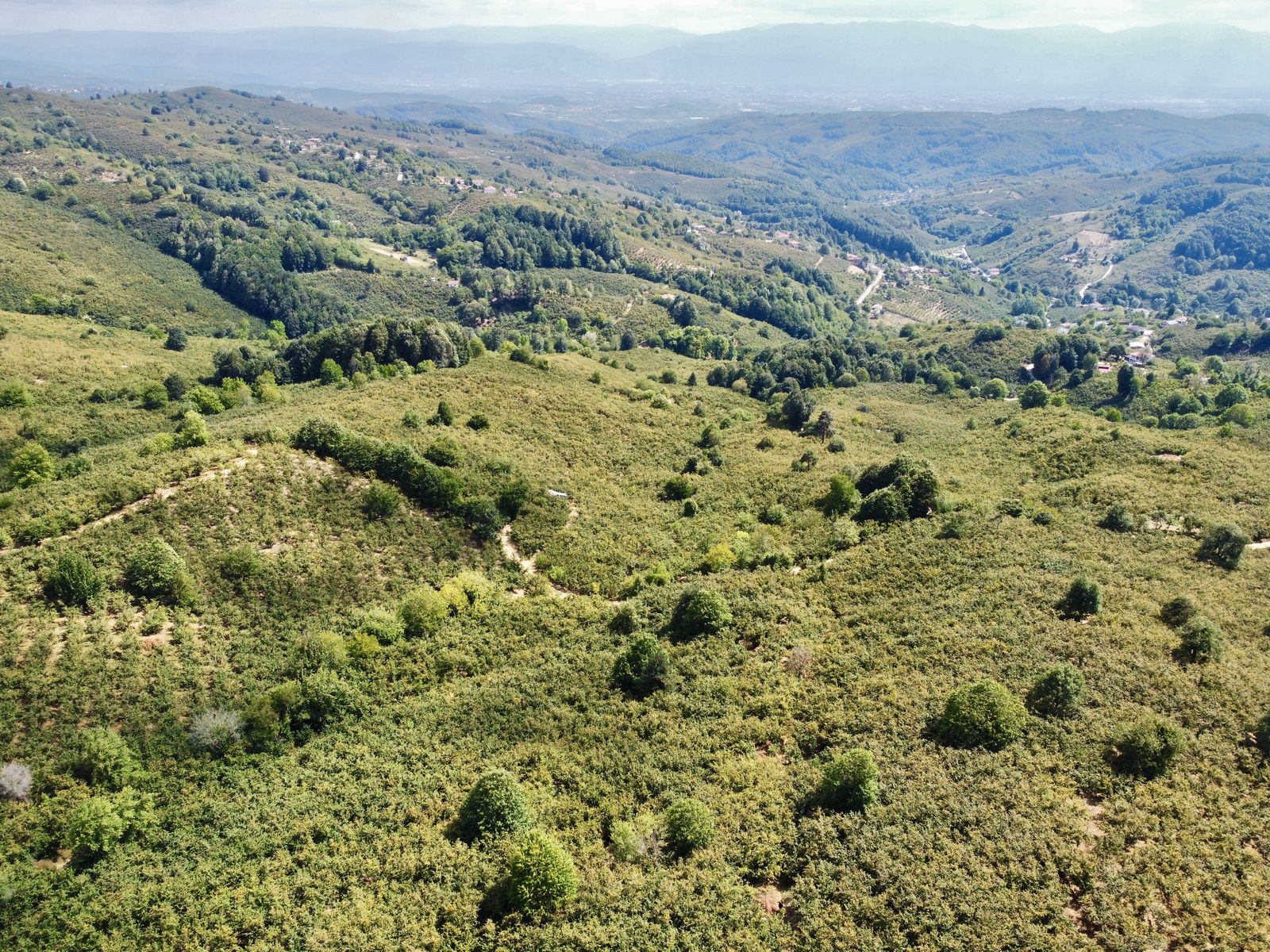 Satılık&nbsp;Fındıklık&nbsp;650,000&nbsp;TL