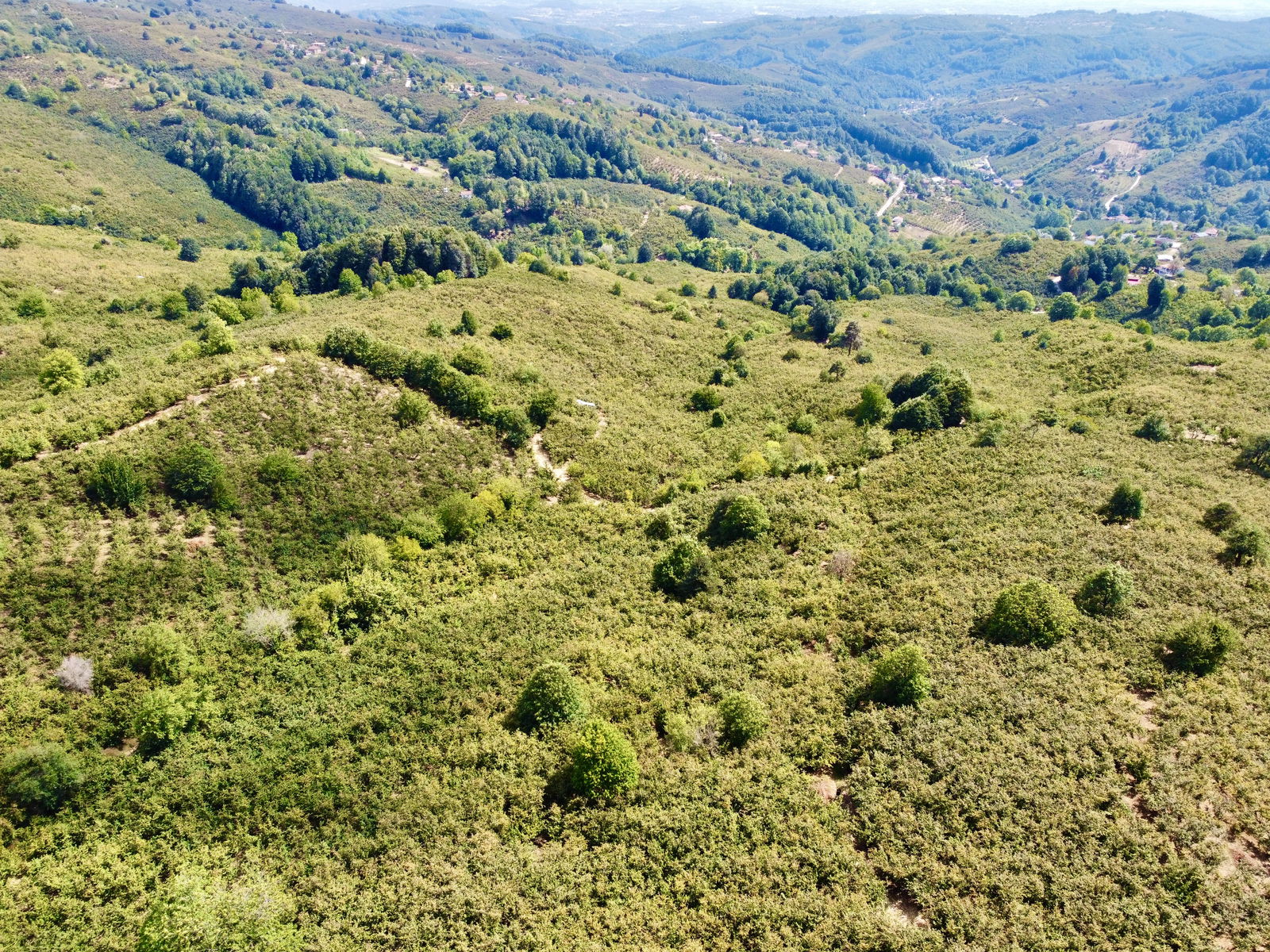 Satılık&nbsp;Fındıklık&nbsp;650,000&nbsp;TL