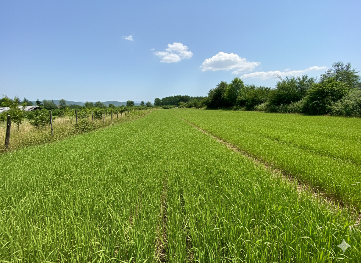 Satılık&nbsp;Arsa&nbsp;2,890,000&nbsp;TL