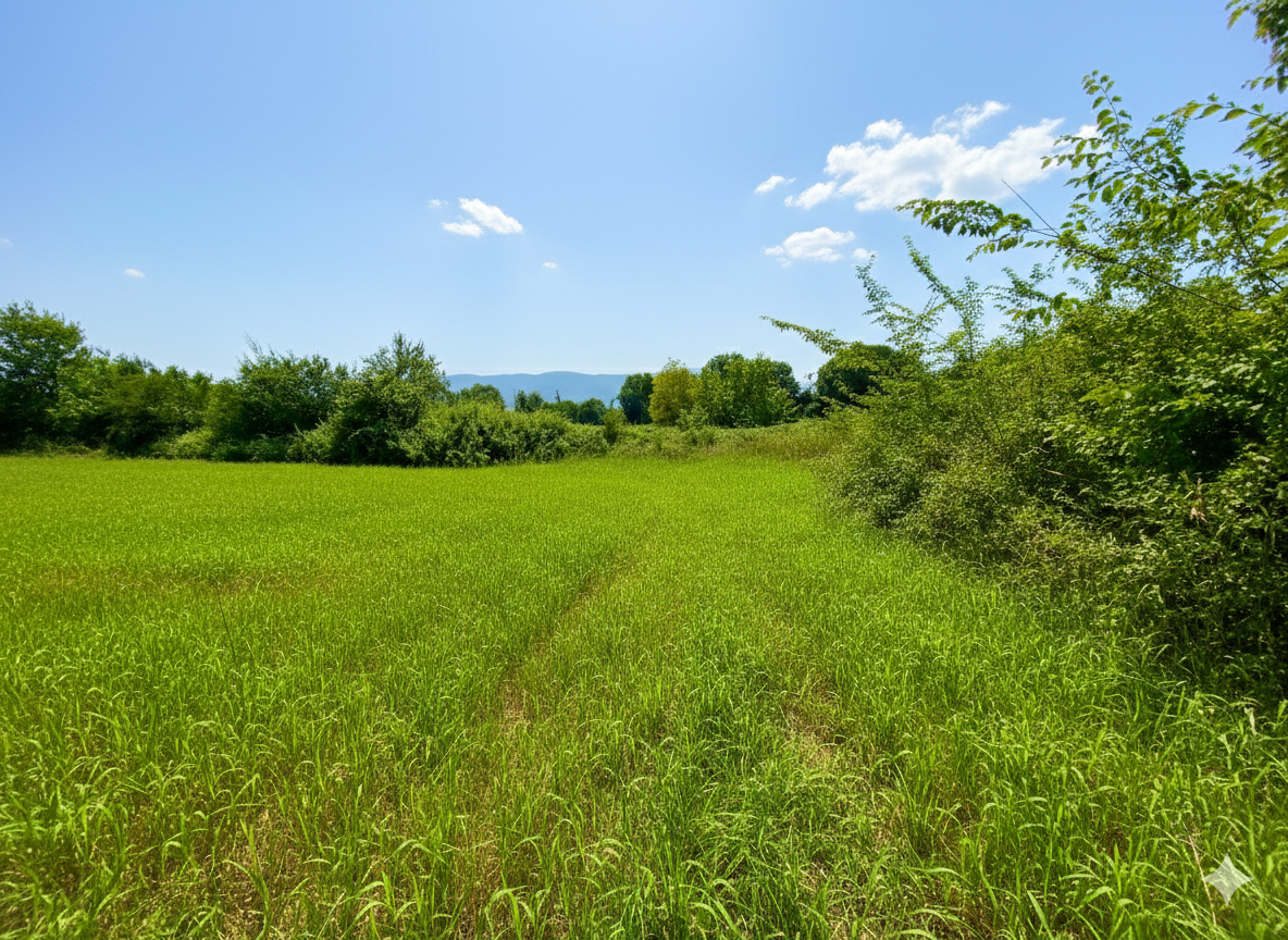 Satılık&nbsp;Arsa&nbsp;2,890,000&nbsp;TL