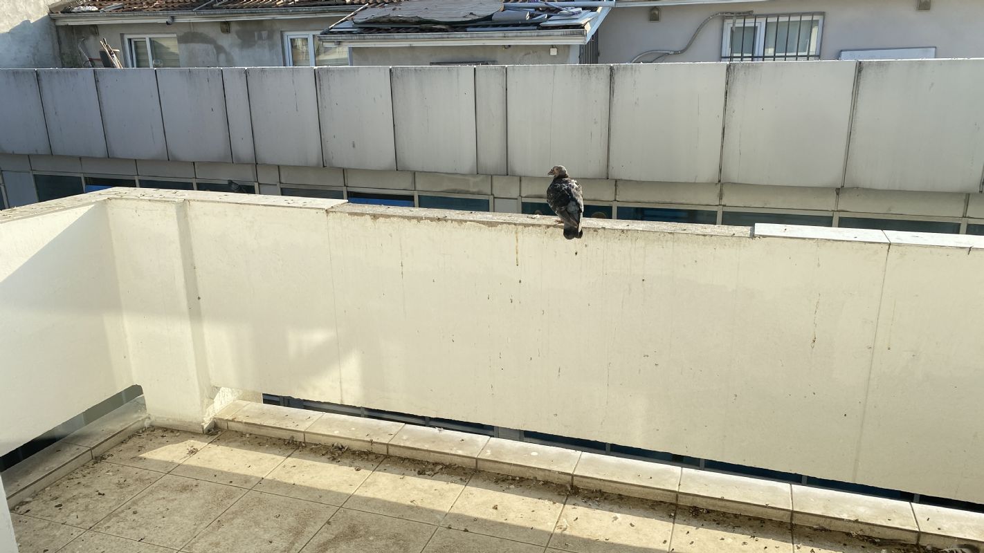 Kiralık Daire 4,500 TL