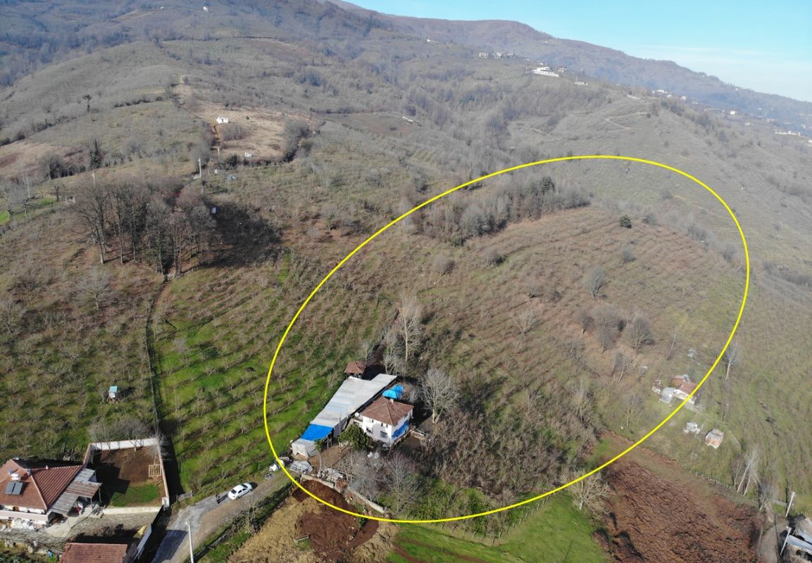 Satılık Arsa 11,410,000 TL