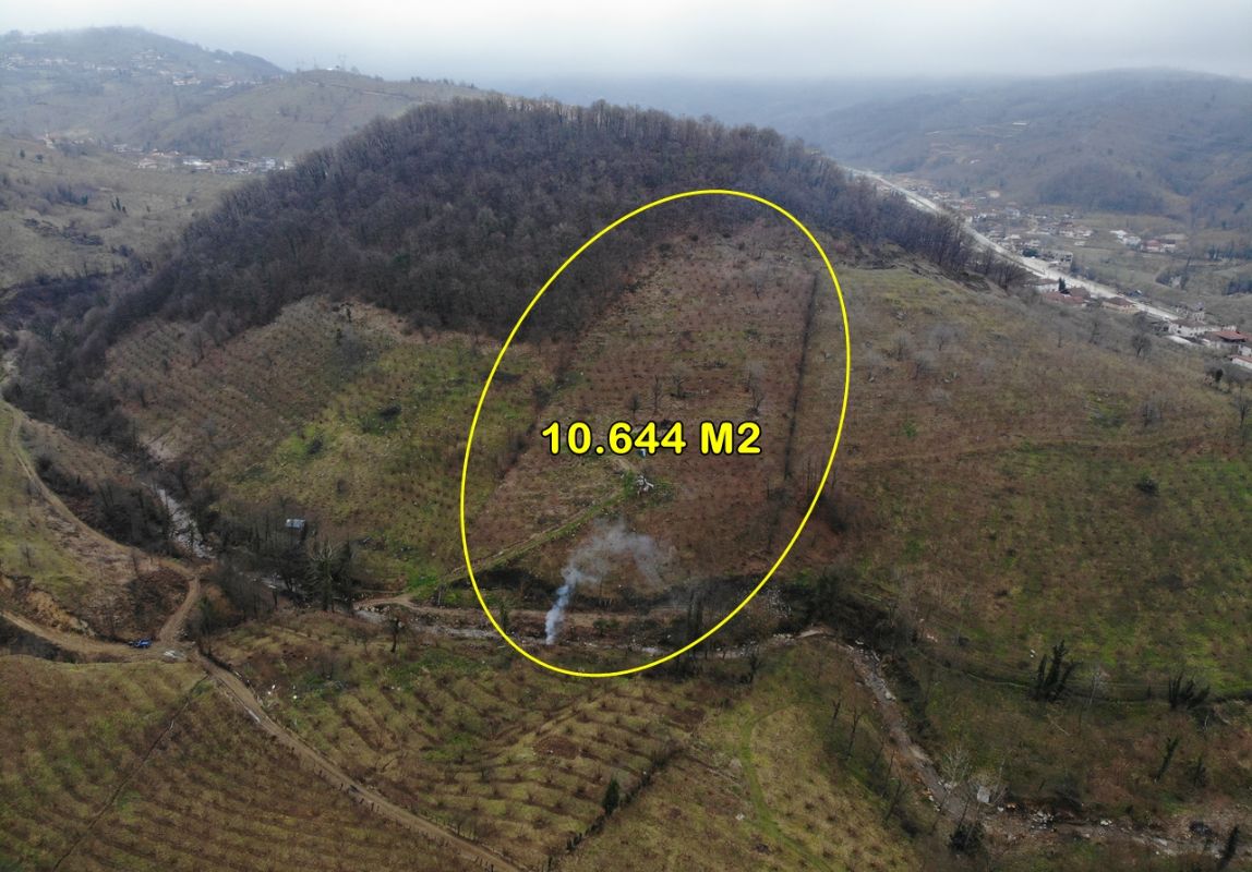 OSMANCA KÖYÜNDE 10644 M2 SATILIK ARAZİ