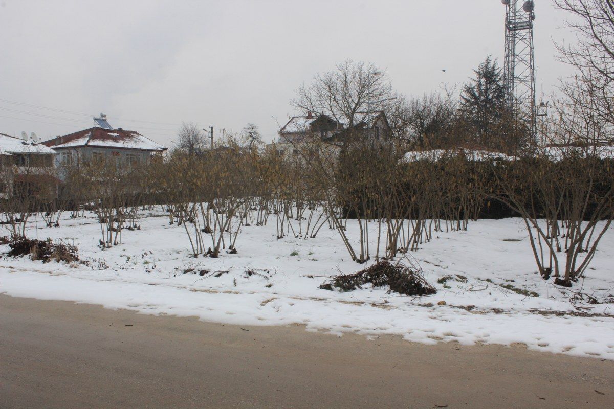 Satılık Arsa 9,350,000 TL