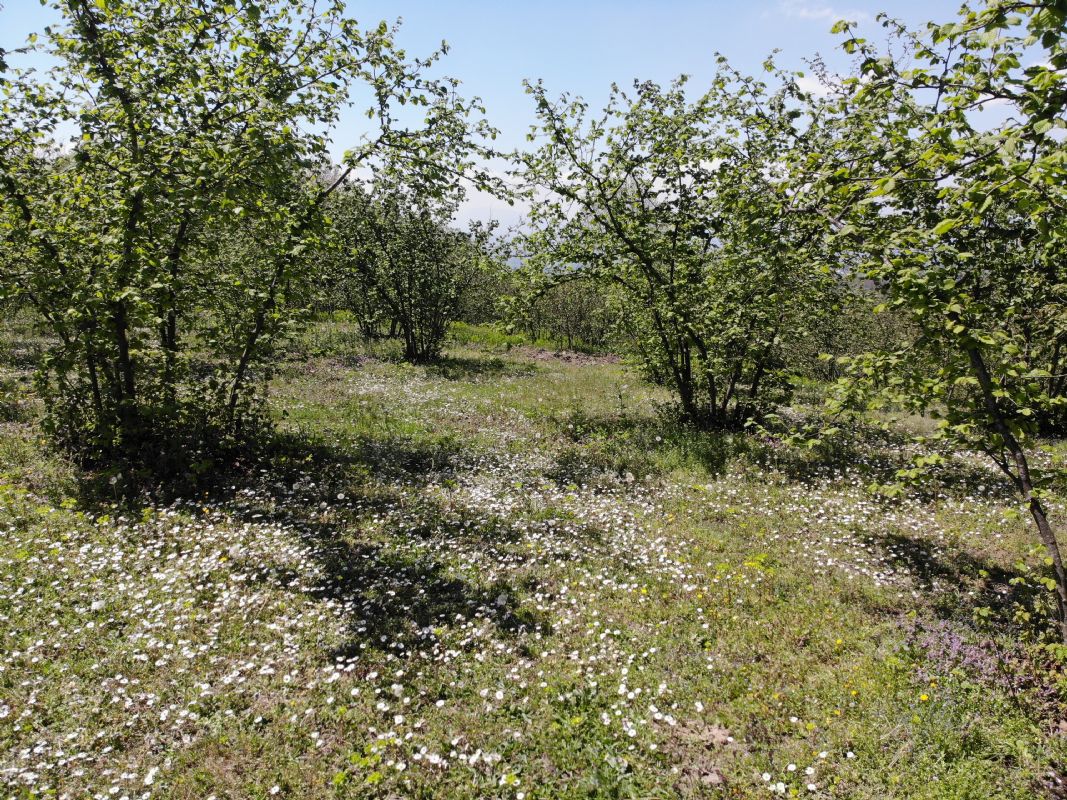 Satılık Arsa 4,750,000 TL