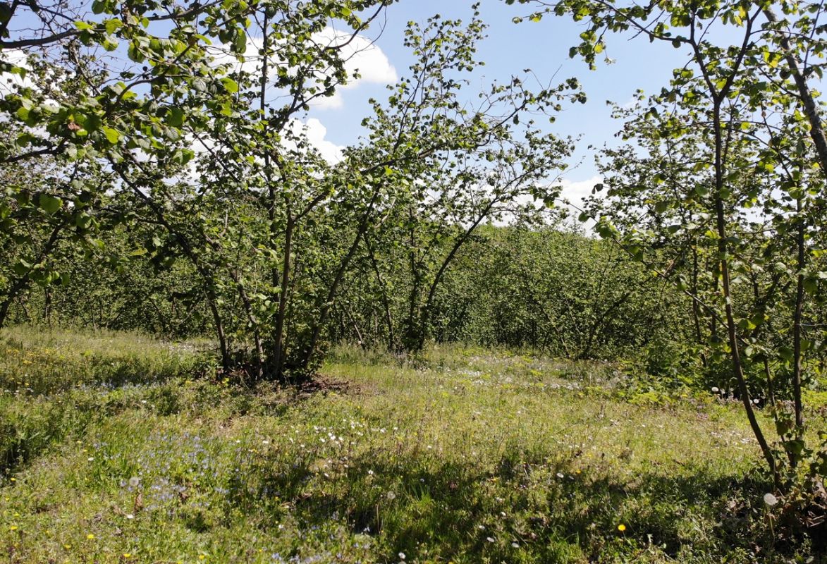 Satılık Arsa 4,750,000 TL