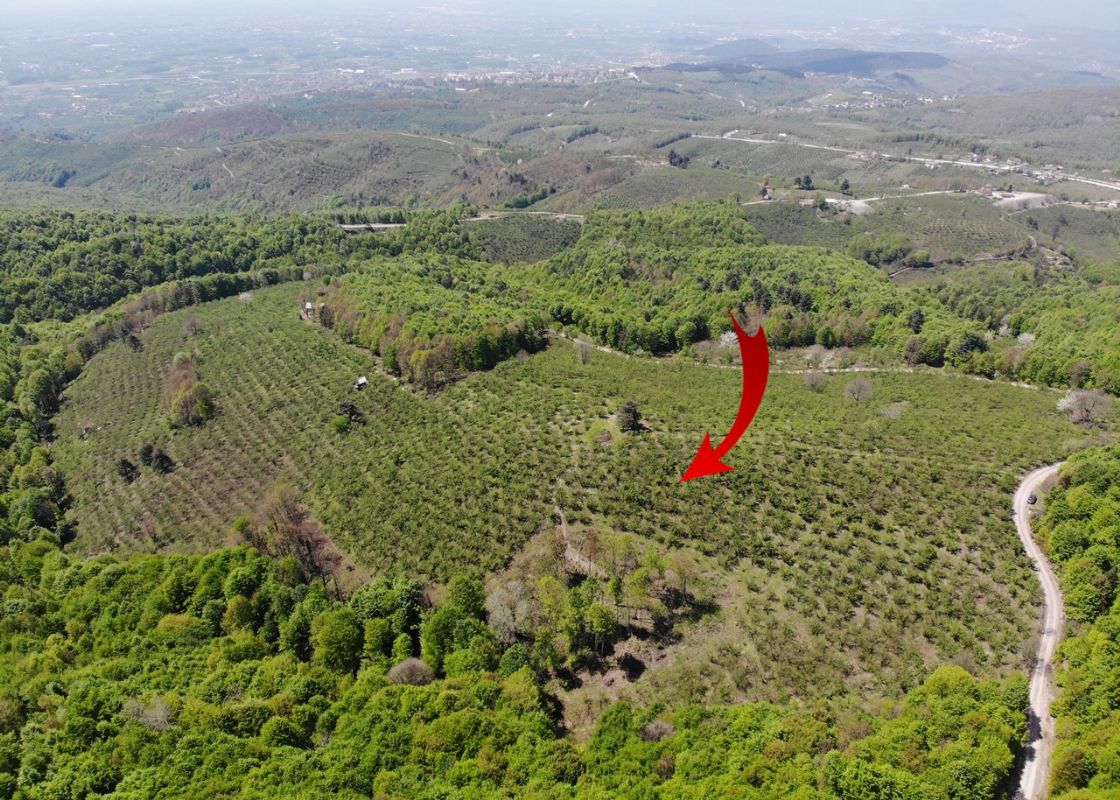 Satılık Arsa 4,750,000 TL