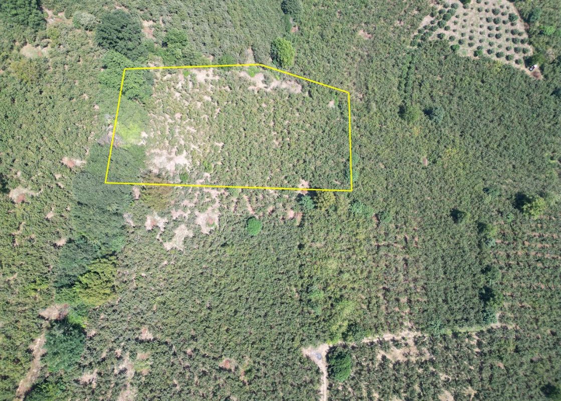 Satılık Arsa 2,300,000 TL