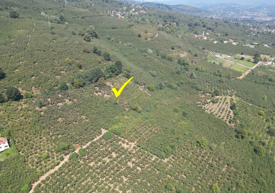 Satılık Arsa 2,300,000 TL