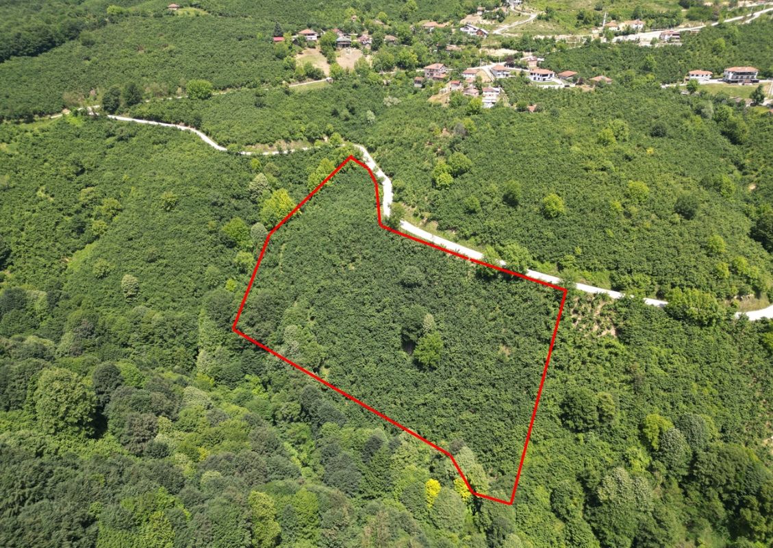 SİNİRCİ KÖYÜ'NDE 1377 - 3772   VE 11295 M2 SATILIK ARSALAR