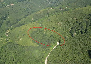 Düzce  Satılık  Arsa