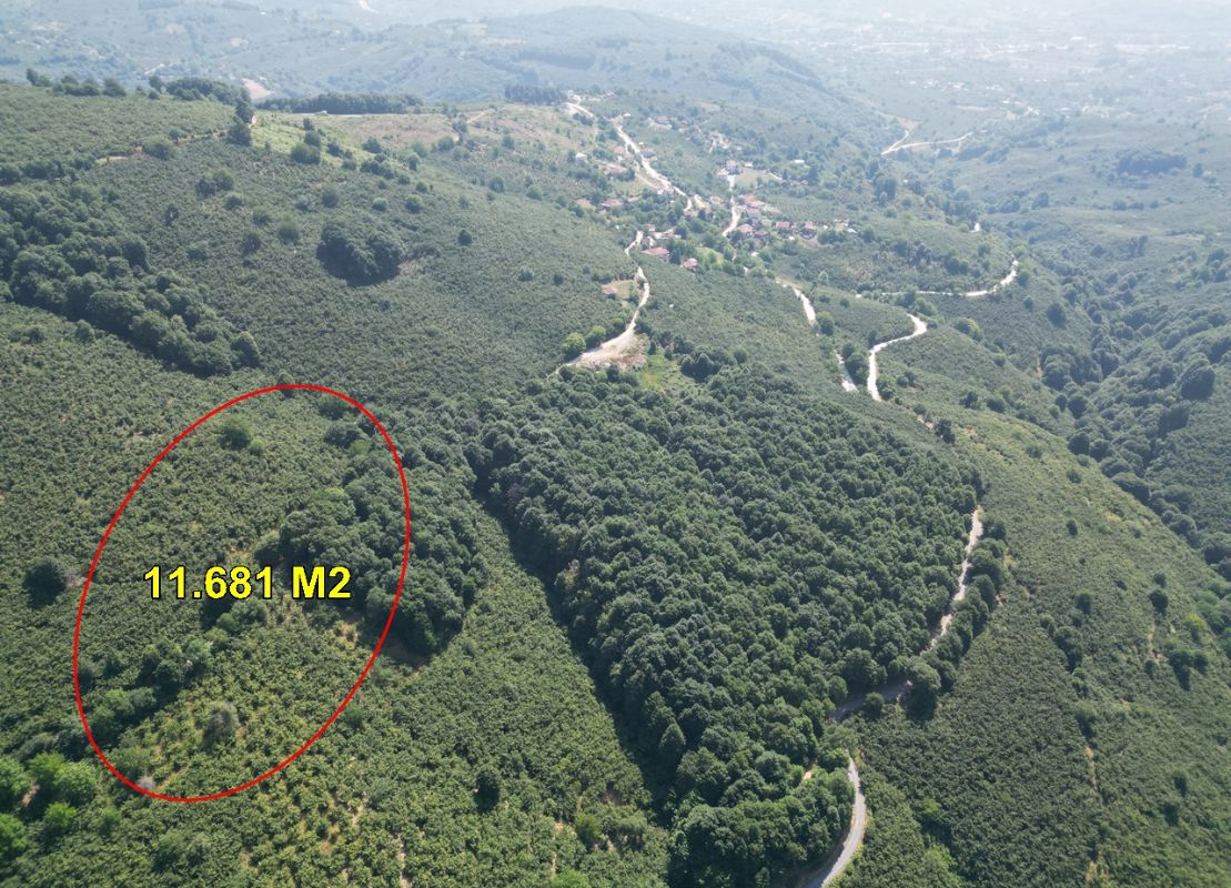 Satılık Arsa 6,750,000 TL