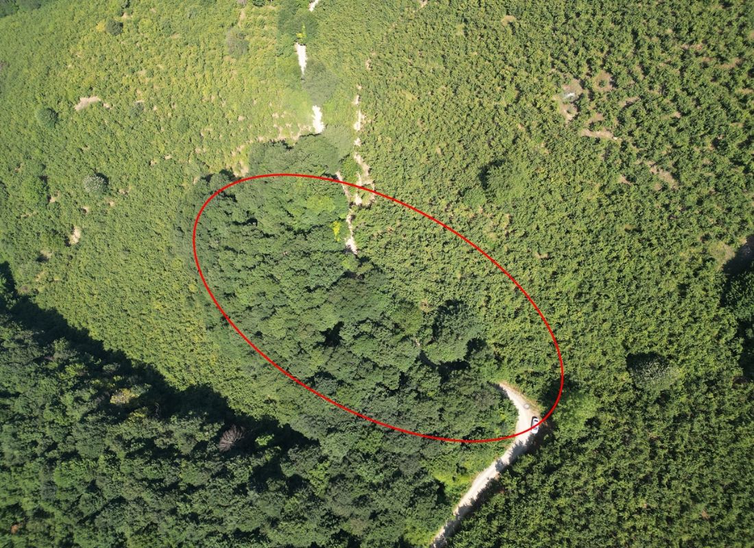Satılık Arsa 6,750,000 TL