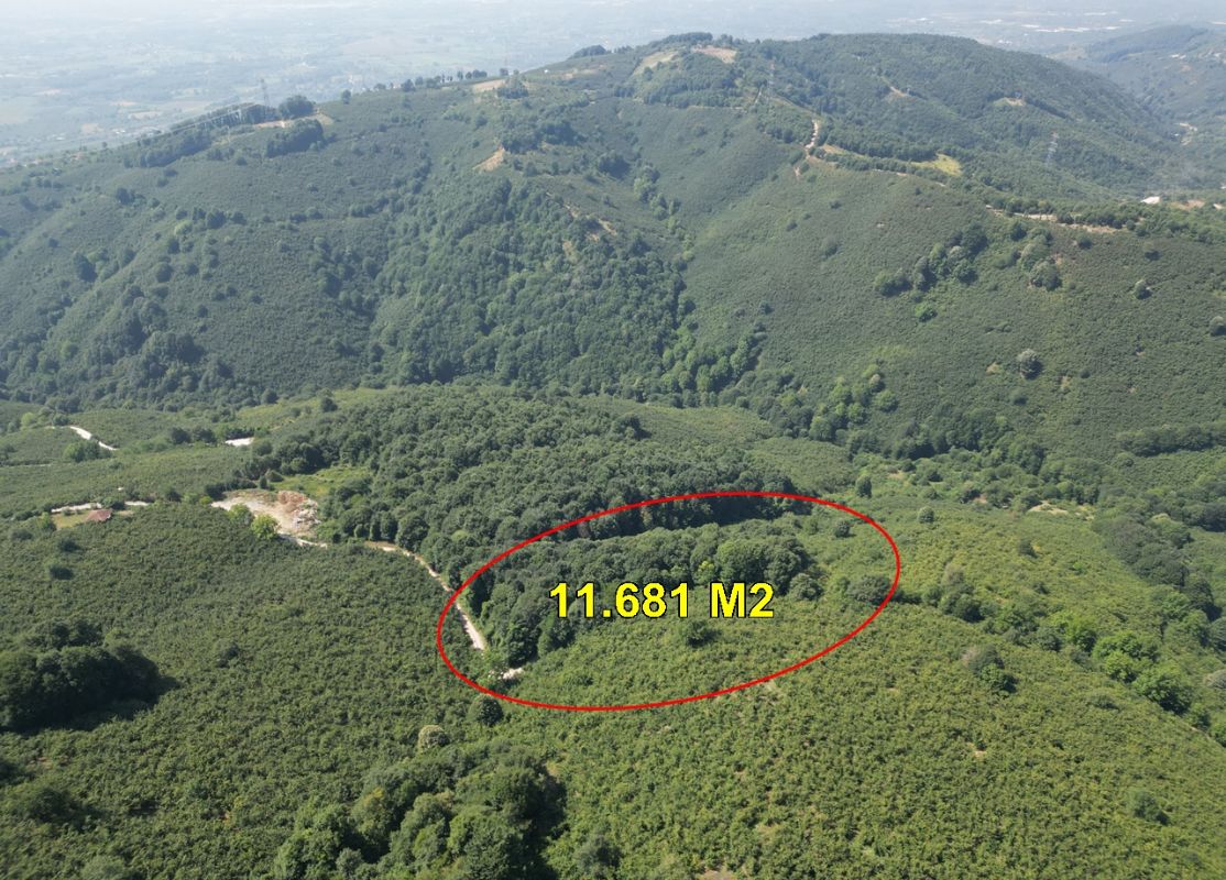 Satılık Arsa 6,750,000 TL