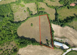 Düzce  Satılık  Arsa