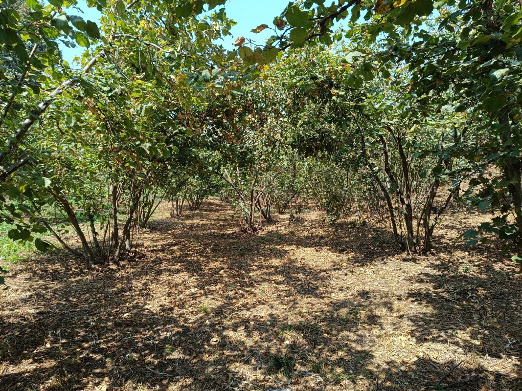 Satılık Arsa 4,500,000 TL