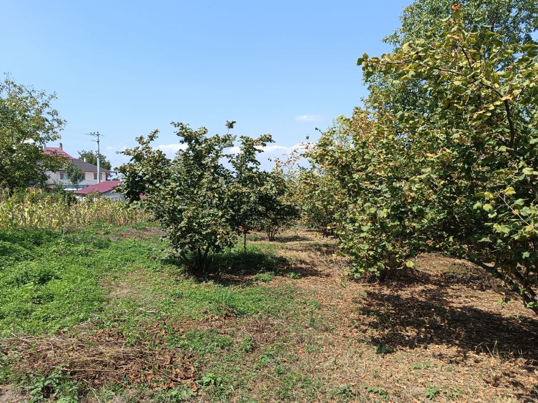 Satılık Arsa 4,500,000 TL