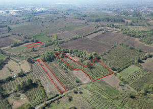 Düzce  Satılık  Arsa