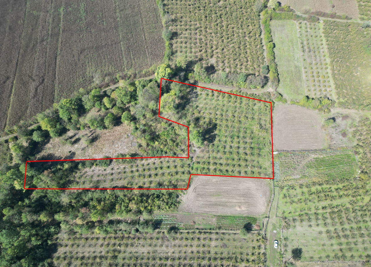 ÇİLİMLİ FİDENİKÜRTLER KÖYÜ'NDE 7965 M2 SATILIK TARIM ARAZİLERİ