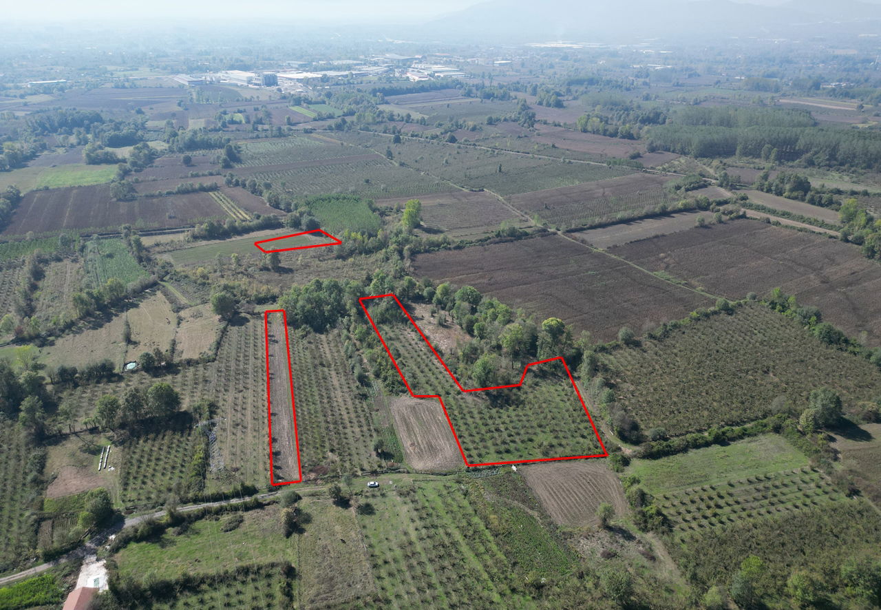 ÇİLİMLİ FİDENİKÜRTLER KÖYÜ'NDE 7965 M2 SATILIK TARIM ARAZİLERİ