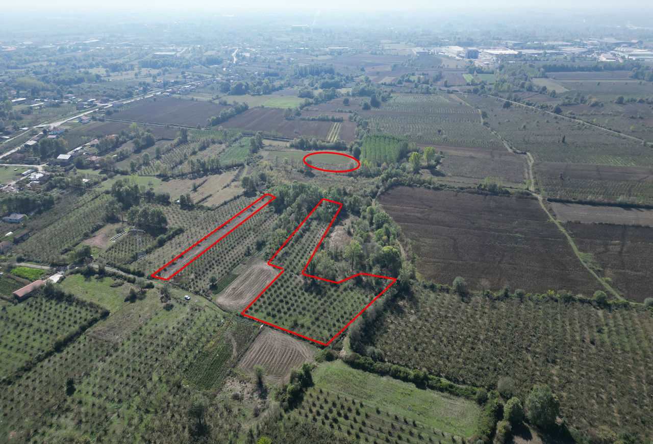 ÇİLİMLİ FİDENİKÜRTLER KÖYÜ'NDE 7965 M2 SATILIK TARIM ARAZİLERİ