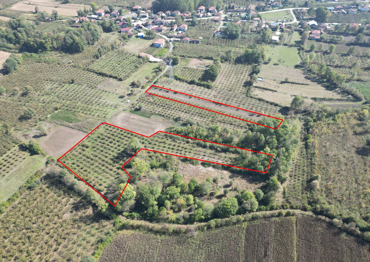 ÇİLİMLİ FİDENİKÜRTLER KÖYÜ'NDE 7965 M2 SATILIK TARIM ARAZİLERİ