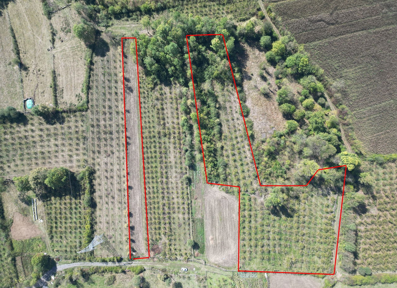 ÇİLİMLİ FİDENİKÜRTLER KÖYÜ'NDE 7965 M2 SATILIK TARIM ARAZİLERİ