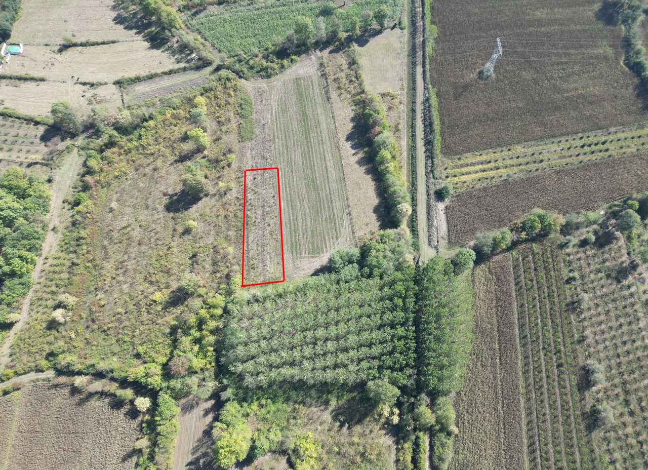 ÇİLİMLİ FİDENİKÜRTLER KÖYÜ'NDE 7965 M2 SATILIK TARIM ARAZİLERİ