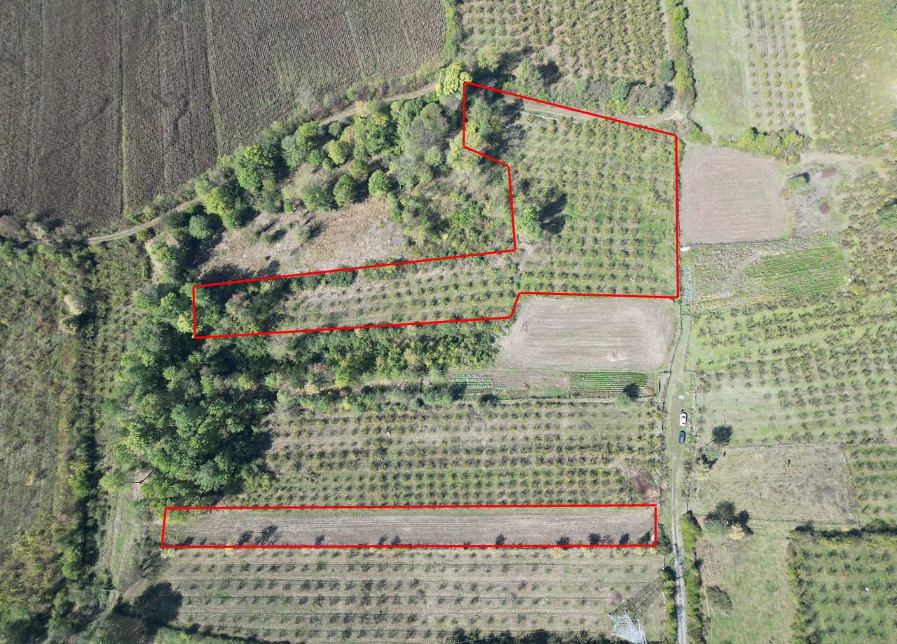 ÇİLİMLİ FİDENİKÜRTLER KÖYÜ'NDE 7965 M2 SATILIK TARIM ARAZİLERİ