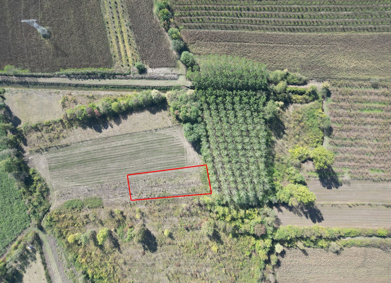 ÇİLİMLİ FİDENİKÜRTLER KÖYÜ'NDE 7965 M2 SATILIK TARIM ARAZİLERİ