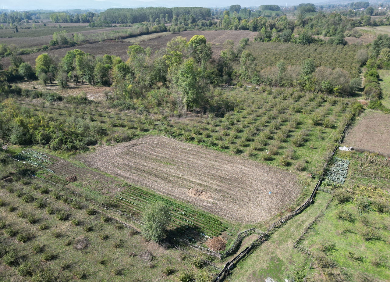 ÇİLİMLİ FİDENİKÜRTLER KÖYÜ'NDE 7965 M2 SATILIK TARIM ARAZİLERİ