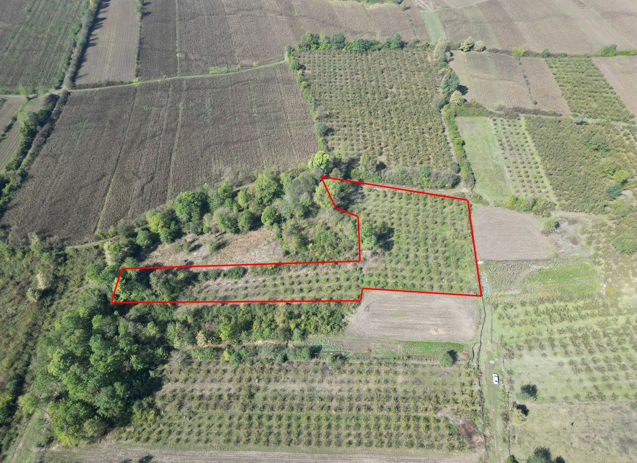 ÇİLİMLİ FİDENİKÜRTLER KÖYÜ'NDE 7965 M2 SATILIK TARIM ARAZİLERİ