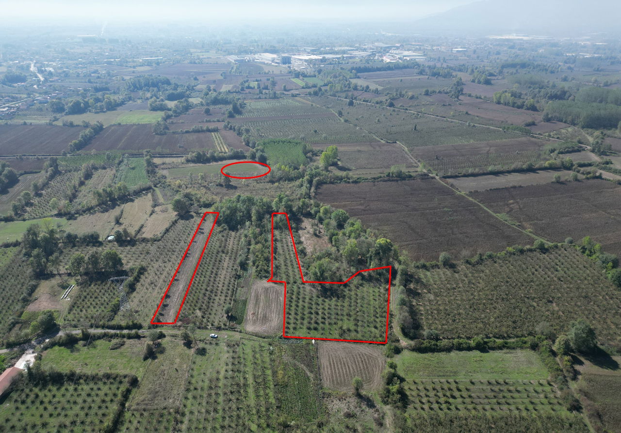 ÇİLİMLİ FİDENİKÜRTLER KÖYÜ'NDE 7965 M2 SATILIK TARIM ARAZİLERİ