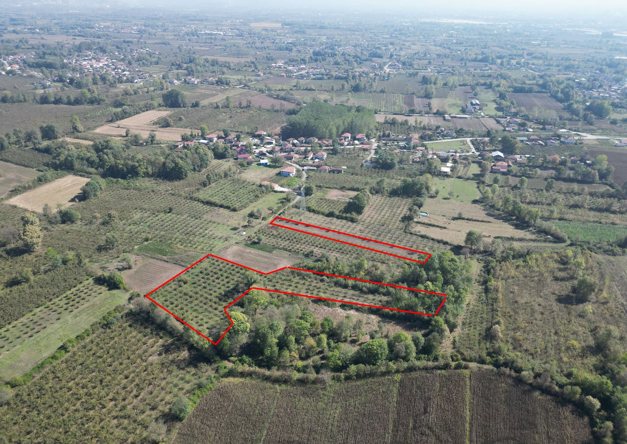 ÇİLİMLİ FİDENİKÜRTLER KÖYÜ'NDE 7965 M2 SATILIK TARIM ARAZİLERİ