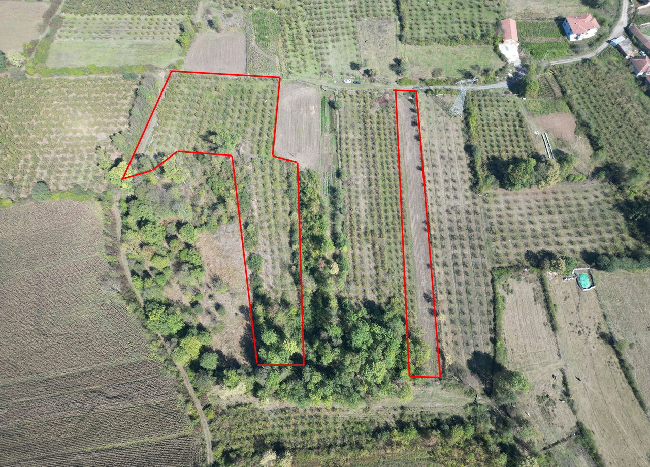 ÇİLİMLİ FİDENİKÜRTLER KÖYÜ'NDE 7965 M2 SATILIK TARIM ARAZİLERİ