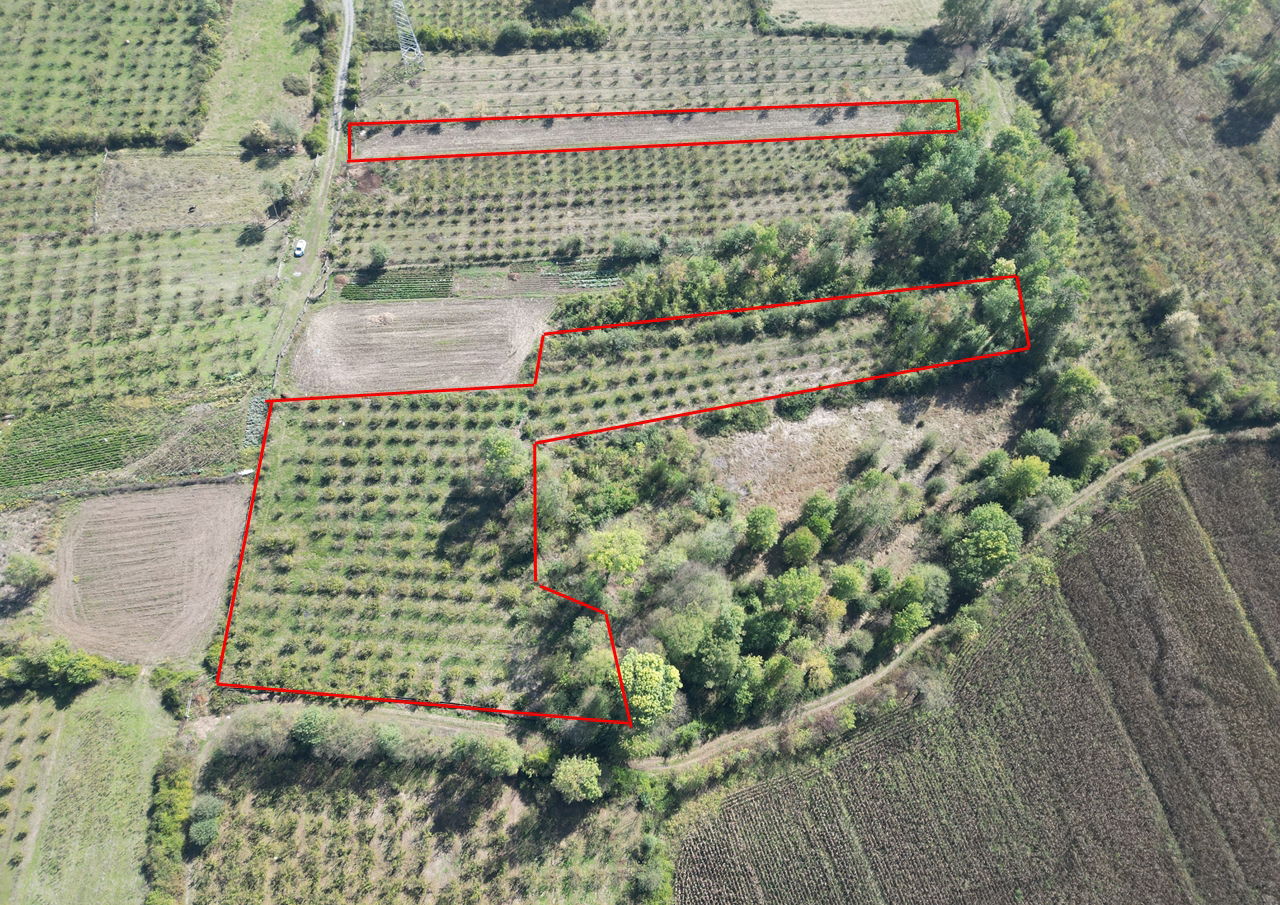 ÇİLİMLİ FİDENİKÜRTLER KÖYÜ'NDE 7965 M2 SATILIK TARIM ARAZİLERİ