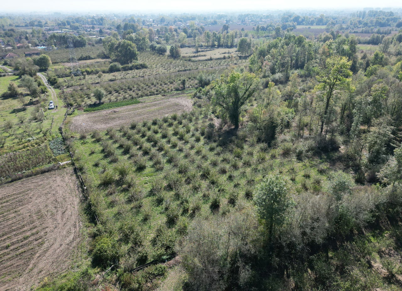 ÇİLİMLİ FİDENİKÜRTLER KÖYÜ'NDE 7965 M2 SATILIK TARIM ARAZİLERİ