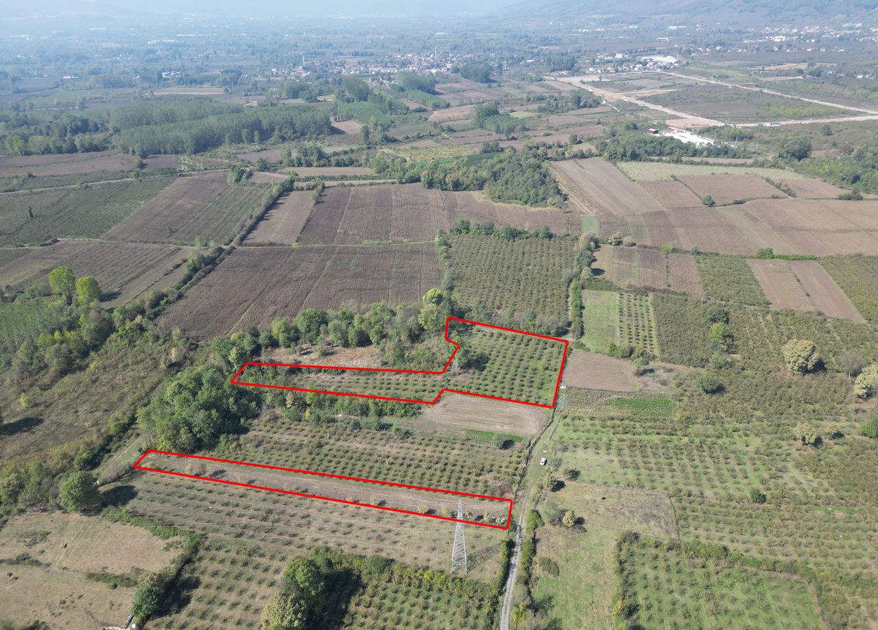 ÇİLİMLİ FİDENİKÜRTLER KÖYÜ'NDE 7965 M2 SATILIK TARIM ARAZİLERİ