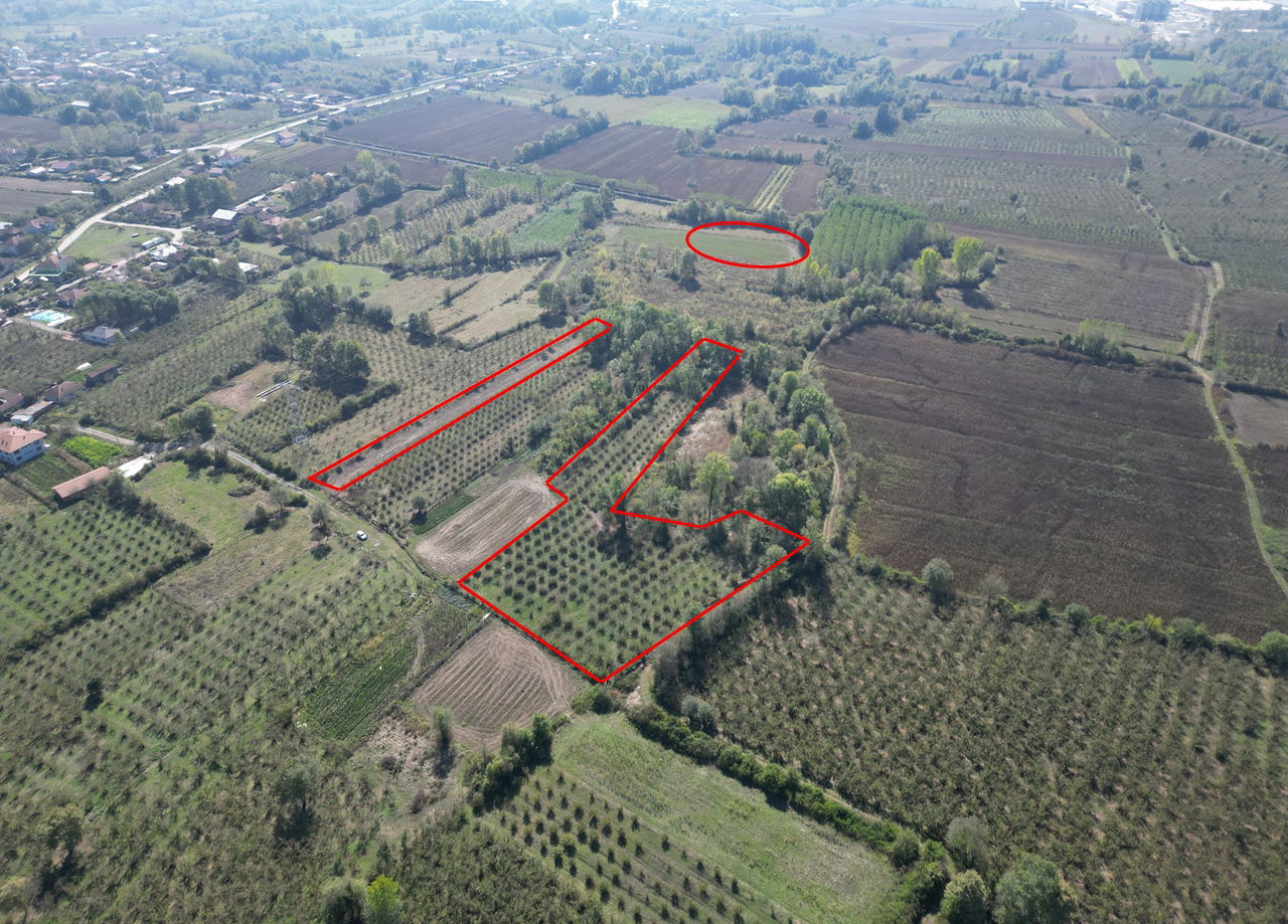 ÇİLİMLİ FİDENİKÜRTLER KÖYÜ'NDE 7965 M2 SATILIK TARIM ARAZİLERİ